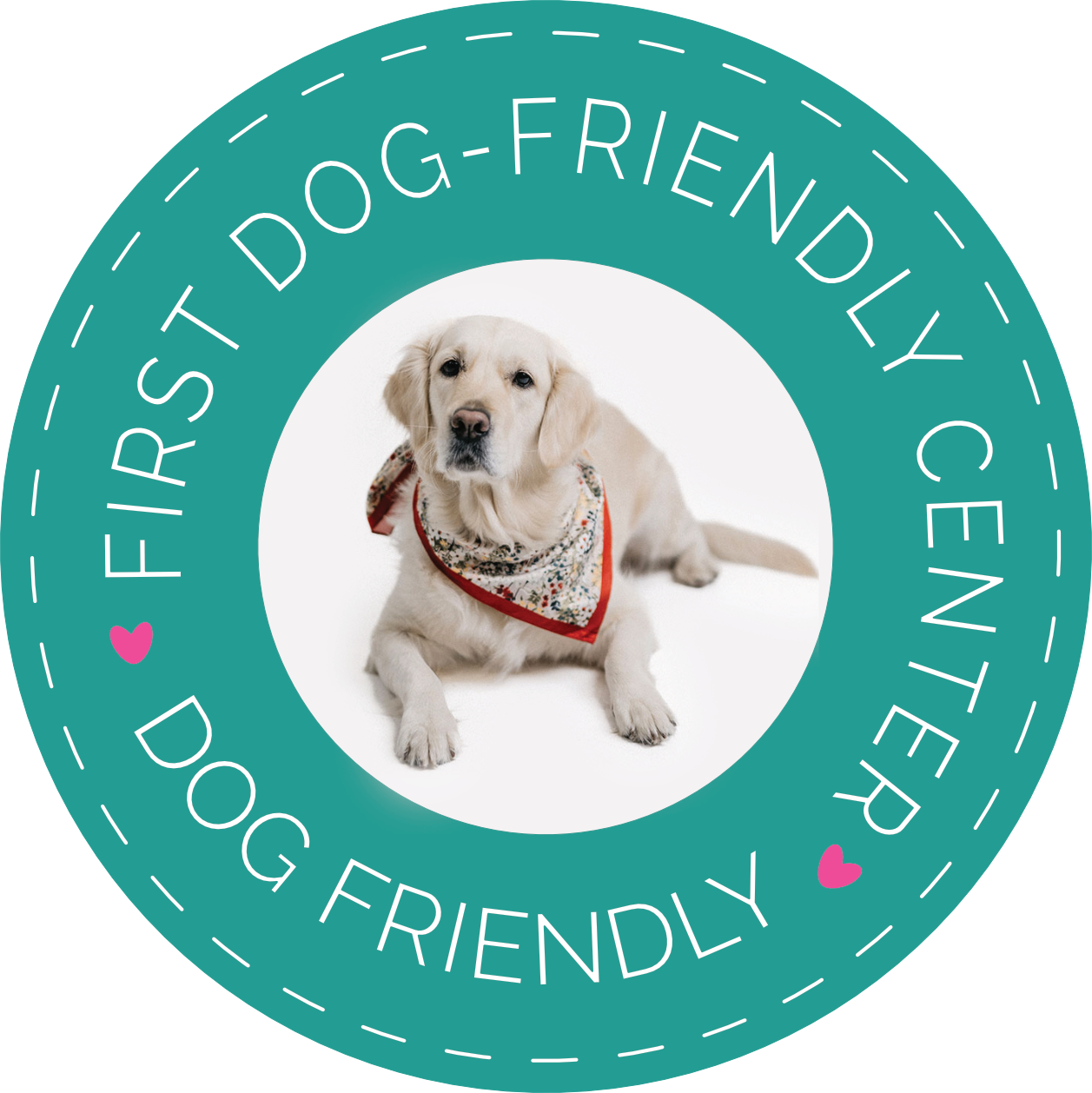 dog-friendly plecsni-ZORA Pszichomegálló - 1st dog-friendly center